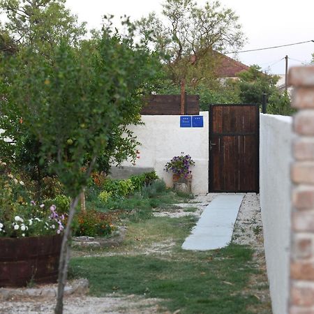 House & Apartment Palaca Donji Zemunik エクステリア 写真